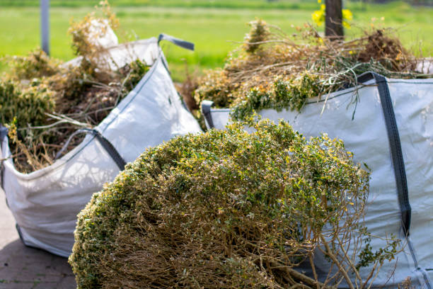Best Shed Removal  in Questa, NM