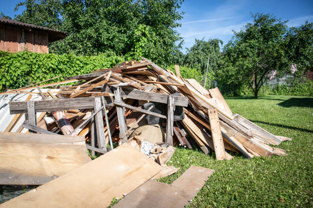 Best Attic Cleanout  in Questa, NM