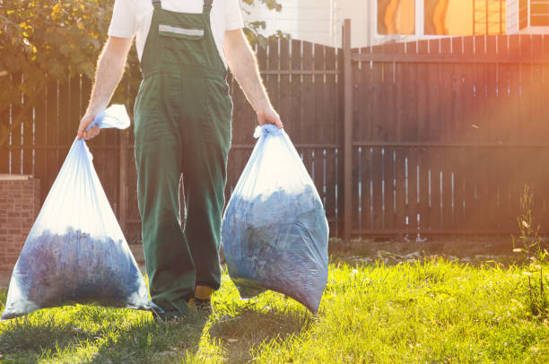 Best Recycling Services for Junk  in Questa, NM